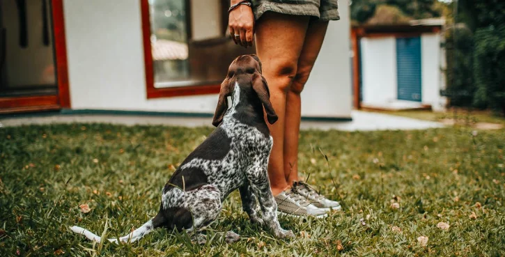 Permessi retribuiti per la cura degli animali domestici